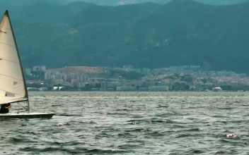 Free Video Stock Small Sailboat Sailing The Sea