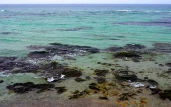 Free Video Stock Small Sea Waves And Clear Water