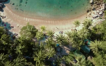 Free Video Stock Small Tropical Beach With Turquoise Water