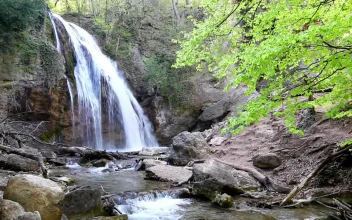 Free Video Stock Small Waterfall And A Stream In Nature