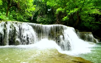 Free Video Stock Small Waterfall In A Forest In Summer