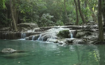 Free Video Stock Small Waterfall In A Forest Stream