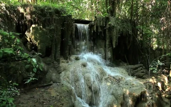 Free Video Stock Small Waterfall In A Jungle