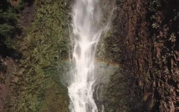 Free Video Stock Small Waterfall