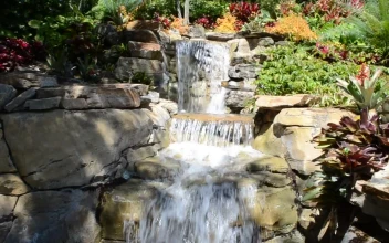 Free Video Stock Small Waterfalls