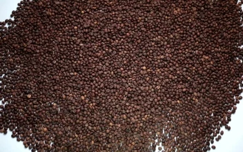 Free Video Stock Smile Appearing In Coffee Beans
