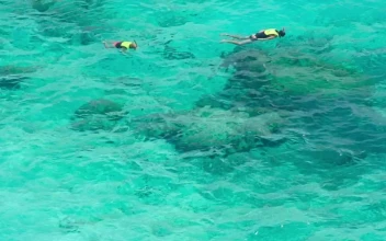 Free Video Stock Snorkeling On Turquoise Waters