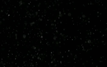 Free Video Stock Snow Falling Gently
