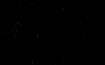 Free Video Stock Snow Falling In Slow Motion
