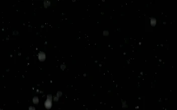 Free Video Stock Snow Falling Softly Against A Black Background