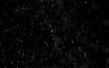 Free Video Stock Snow Falls In A Black Background