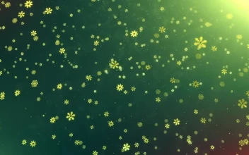 Free Video Stock Snowing Golden Snowflakes On Green Background