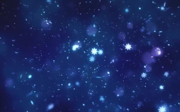 Free Video Stock Snowing Snowflakes On Dark Blue Background