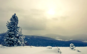 Free Video Stock Snowstorm And Fog Time Lapse