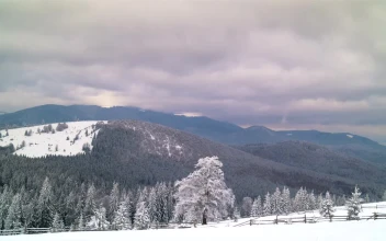 Free Video Stock Snowy Forest And Mountain With Cloudy Sky
