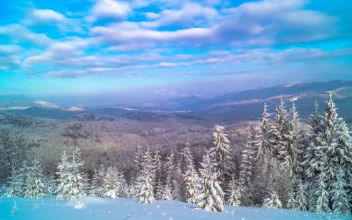 Free Video Stock Snowy Forest In The Mountain Landscape