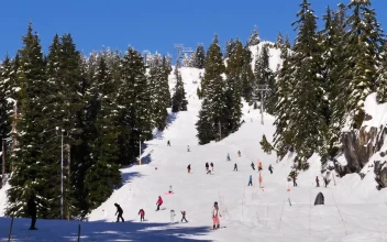 Free Video Stock Snowy Hill In A Forest Full Of Skiers