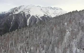 Free Video Stock Snowy Mountain And A Pine Forest