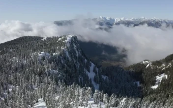 Free Video Stock Snowy Mountain In Canada Full Of Pine Trees