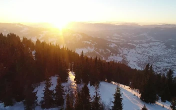 Free Video Stock Snowy Mountain Pine Trees Receiving The Sun