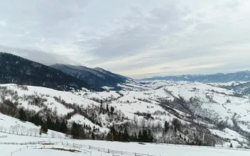 Free Video Stock Snowy Mountain Range With Pine Trees From Above