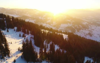 Free Video Stock Snowy Mountains With Pine Trees During Sunrise