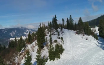 Free Video Stock Snowy Path In A Winter Mountain
