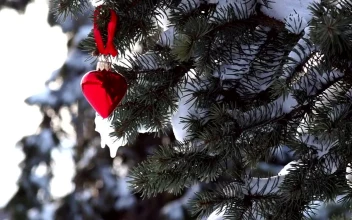 Free Video Stock Snowy Pine With Heart Decoration