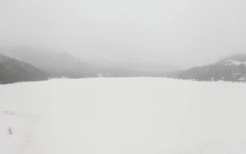 Free Video Stock Snowy Plain