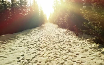 Free Video Stock Snowy Road With Footprints In A Snowy Forest