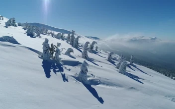 Free Video Stock Snowy Ski Mountain Aerial View