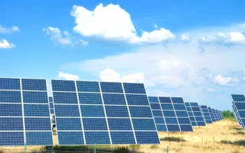 Free Video Stock Solar Panels Under The Beautiful Sky
