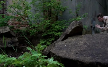 Free Video Stock Soldier Lurking In The Woods