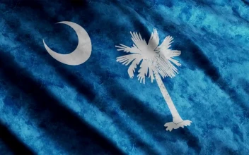 Free Video Stock South Carolina Flag In United States Of America