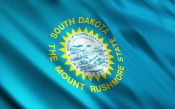 Free Video Stock South Dakota Flag In United States Of America