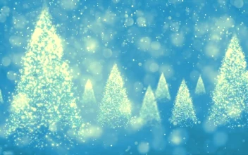 Free Video Stock Spinning Christmas Light Trees