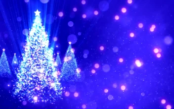 Free Video Stock Spinning Christmas Tree Made Of Luminous Particles