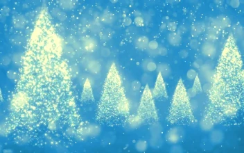 Free Video Stock Spinning Glitter Christmas Trees In Blue Background