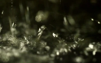 Free Video Stock Splashing Water Drops In Slow Motion