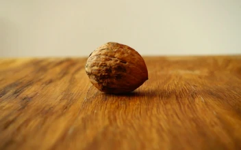 Free Video Stock Splitting A Walnut With A Hammer