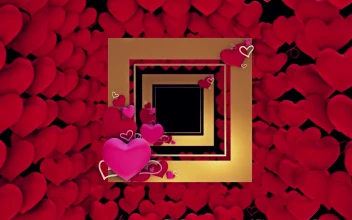 Free Video Stock Square Shaped Frames And Red Hearts