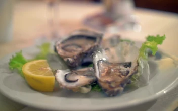 Free Video Stock Squeezing Lemon On Fresh Oysters