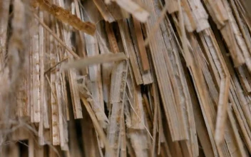 Free Video Stock Stacked Thin Strips Of Old Weathered Wood