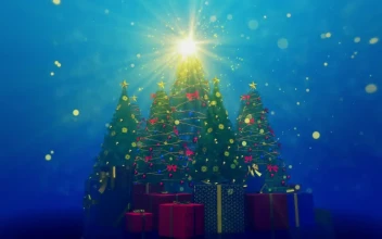 Free Video Stock Star Shining On The Top Of Christmas Trees