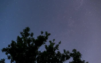 Free Video Stock Starry Sky And The Silhouette Of A Tree