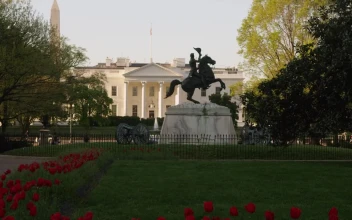 Free Video Stock Statue And Cannons Outside The White House
