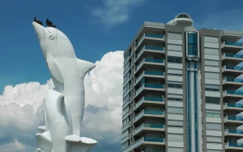 Free Video Stock Statue Of A Dolphin In The City