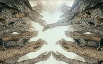 Free Video Stock Stone Hands Tunnel D Render
