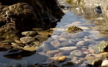 Free Video Stock Stones And Water