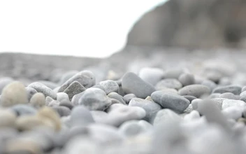 Free Video Stock Stones Covering A Beach